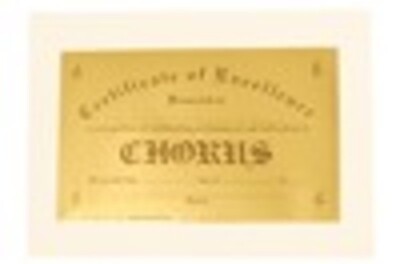 AWARD CERTIFICATE EXCELLENCE BAND GOLD FOIL
