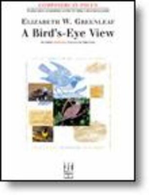 BIRDS EYE VIEW