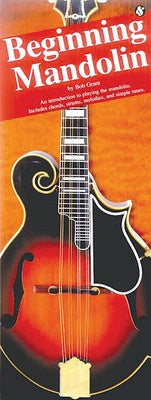 BEGINNING MANDOLIN