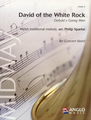 DAVID ON THE WHITE ROCK CB3 SC/PTS