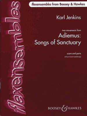 ADIEMUS SONG OF SANCTUARY FLEX ORCH SC/PTS
