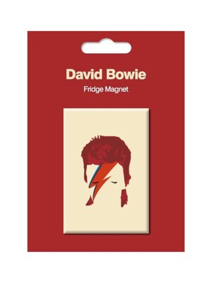 DAVID BOWIE FRIDGE MAGNET ALADDIN SANE